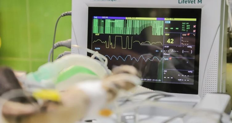 Heart treatment transportation